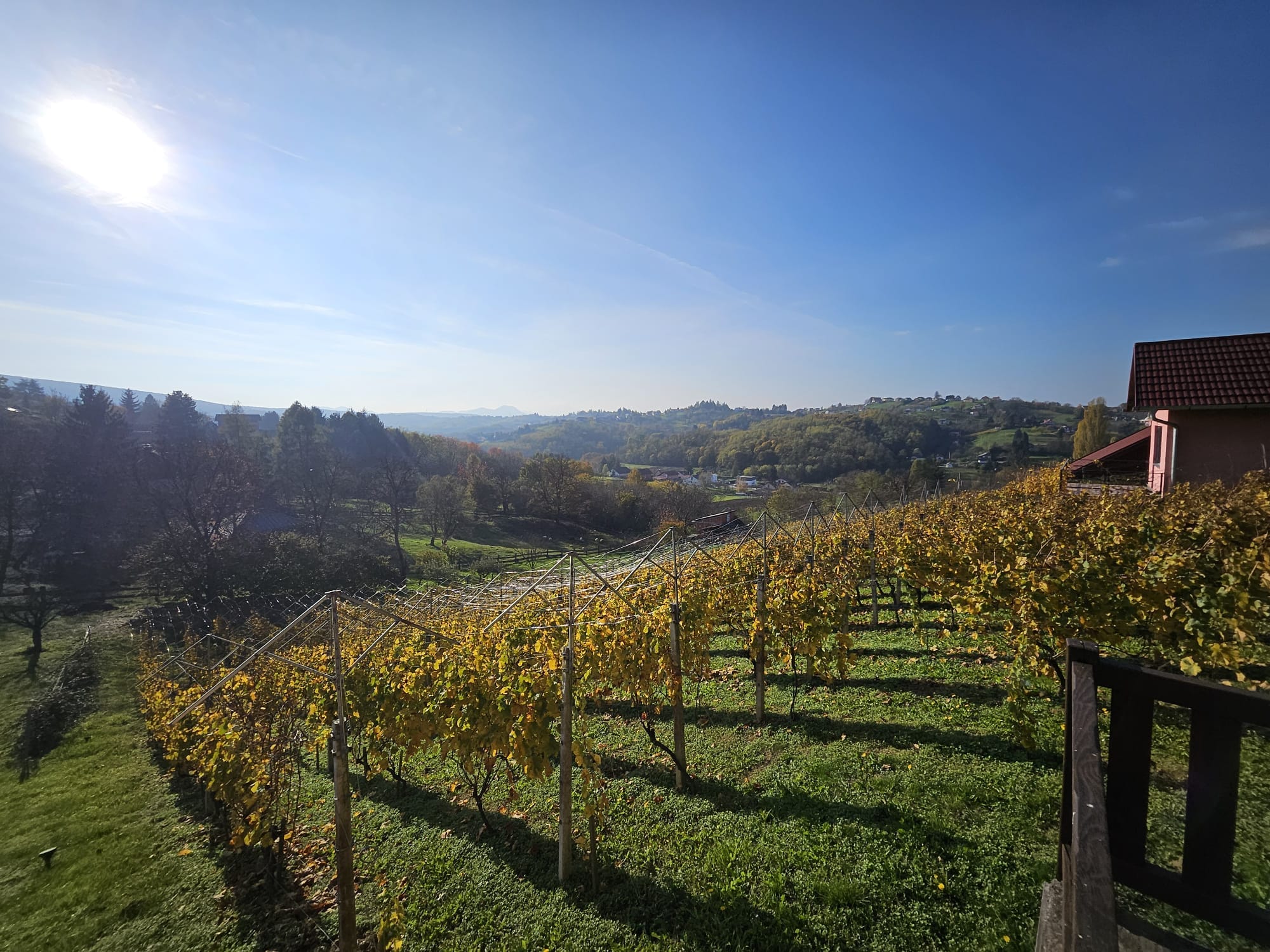 Vineyards in Croatia. The interactive map charts more than 4.3 million vineyards across 97 countries.